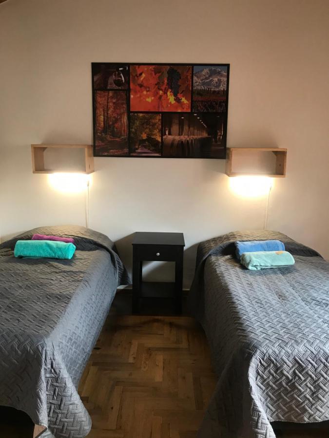 Mza Wine Apartment -Next To Aristides Street- First Class Mendoza Eksteriør bilde